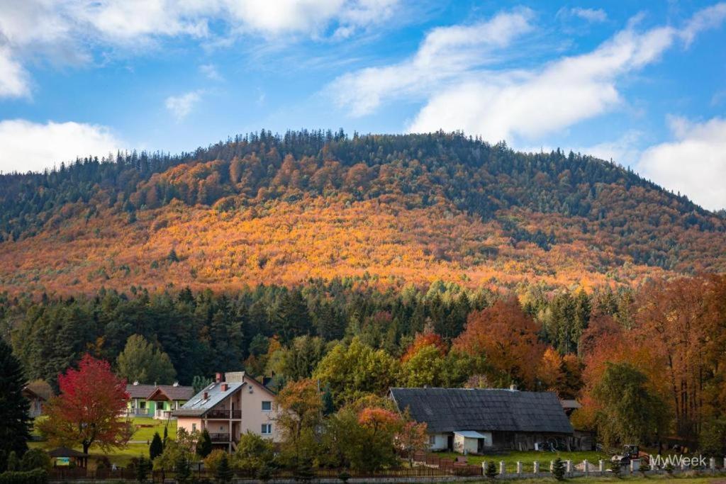 Domek Nad Zalewem Radkowskim Екстериор снимка
